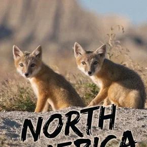 Photo de la série : North America