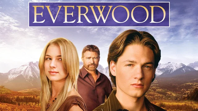 Affiche de la série : Everwood