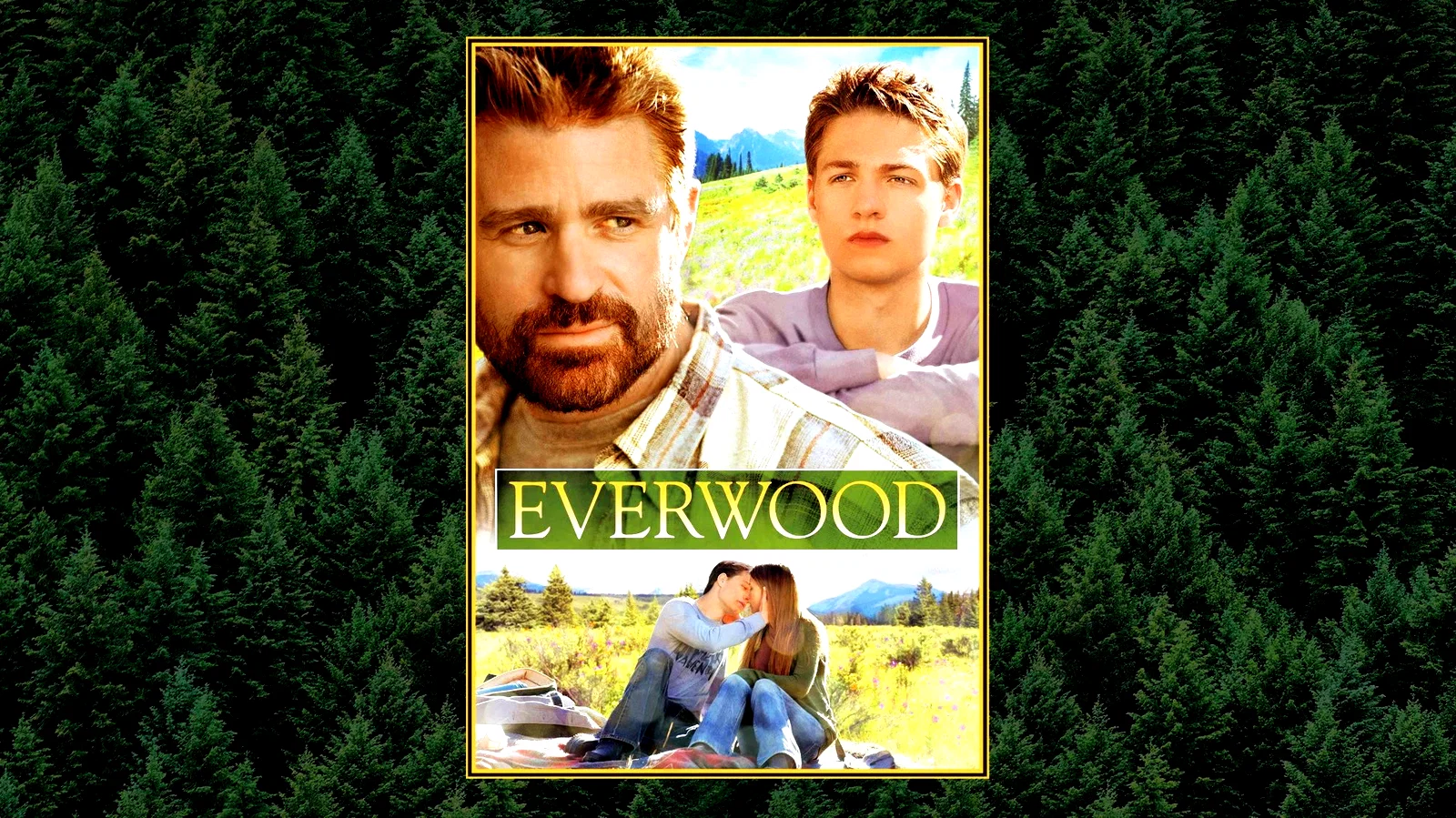 Photo 4 de la série : Everwood