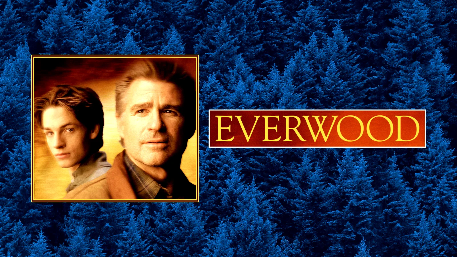 Photo 5 de la série : Everwood