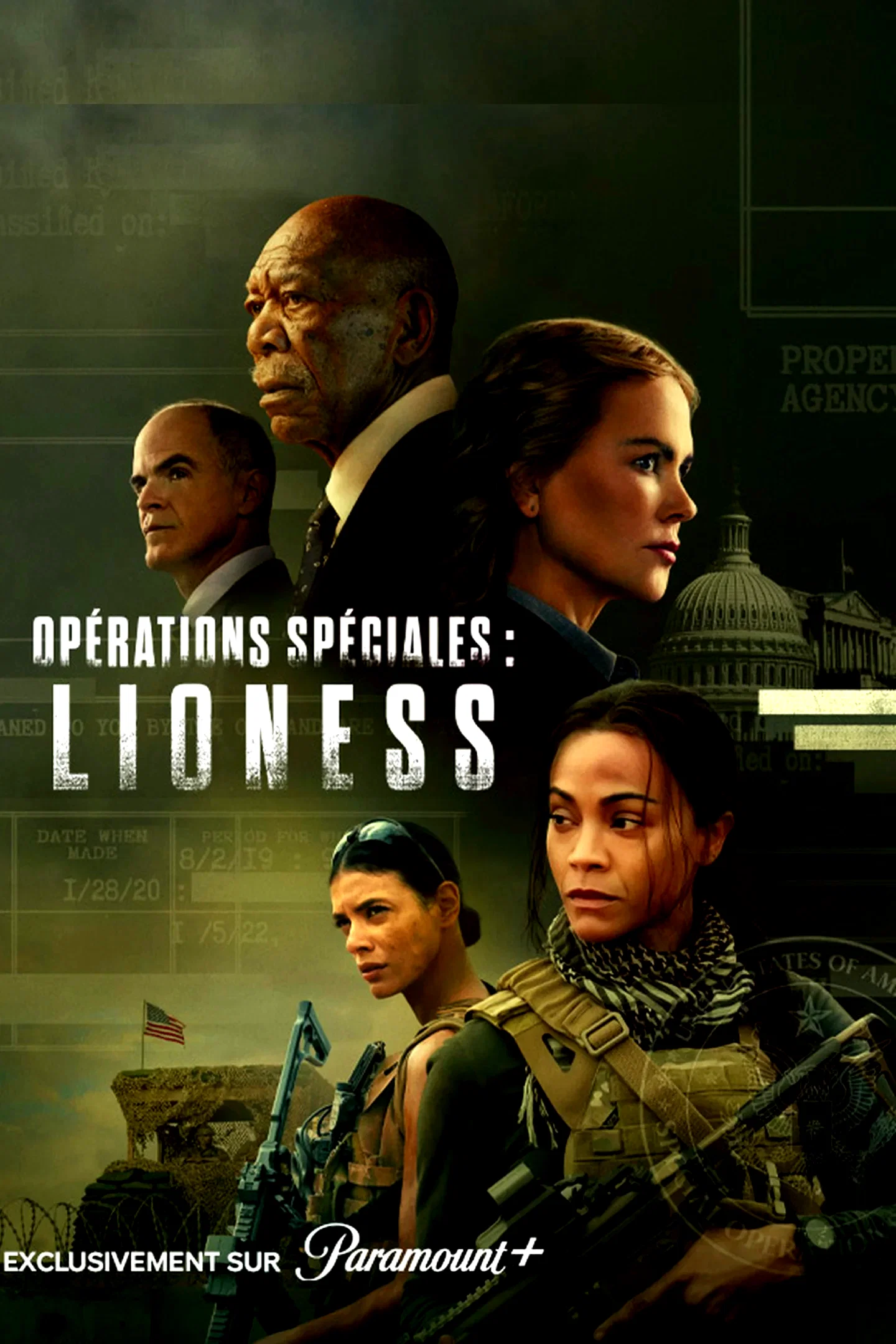 Photo 7 de la série : Lioness