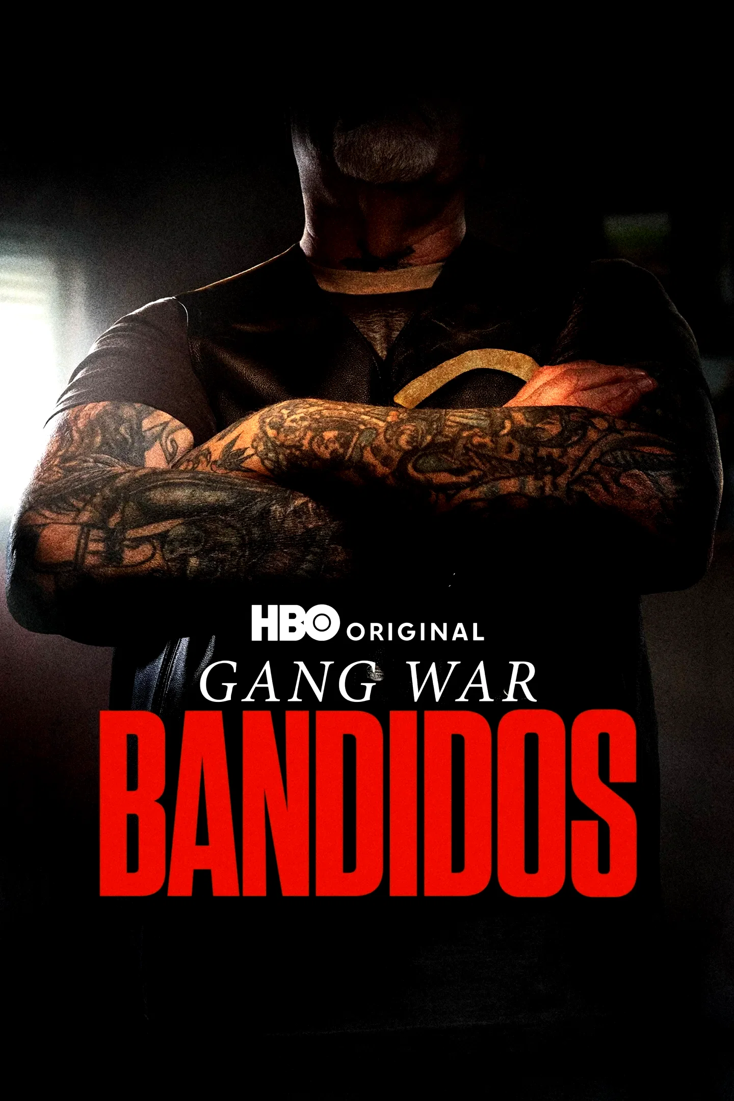 Affiche de la série : Gang War: Bandidos