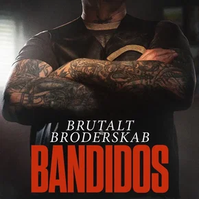 Photo de la série : Gang War: Bandidos