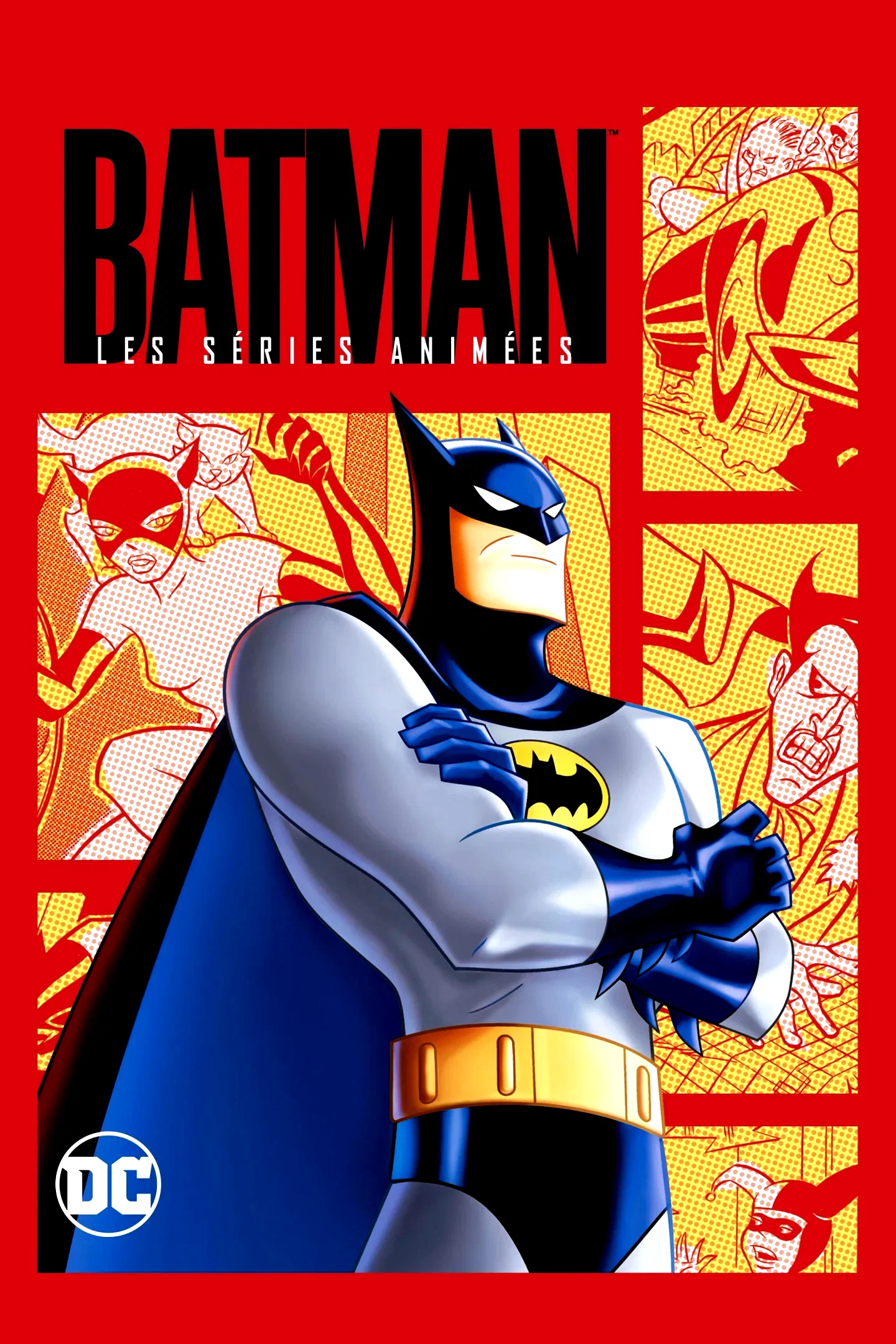 Photo 3 de la série : Batman : La Série animée