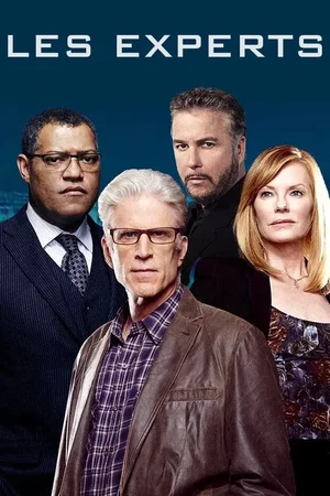 Affiche de la série : Les Experts