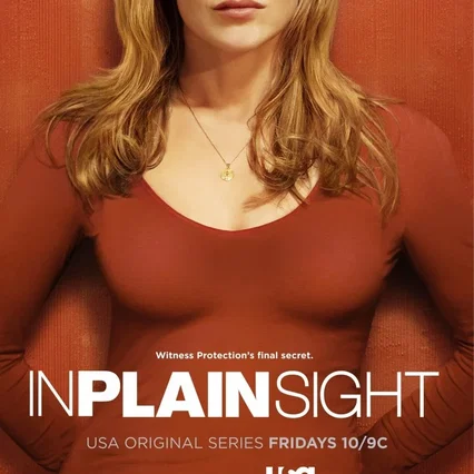 Photo de la série : In Plain Sight