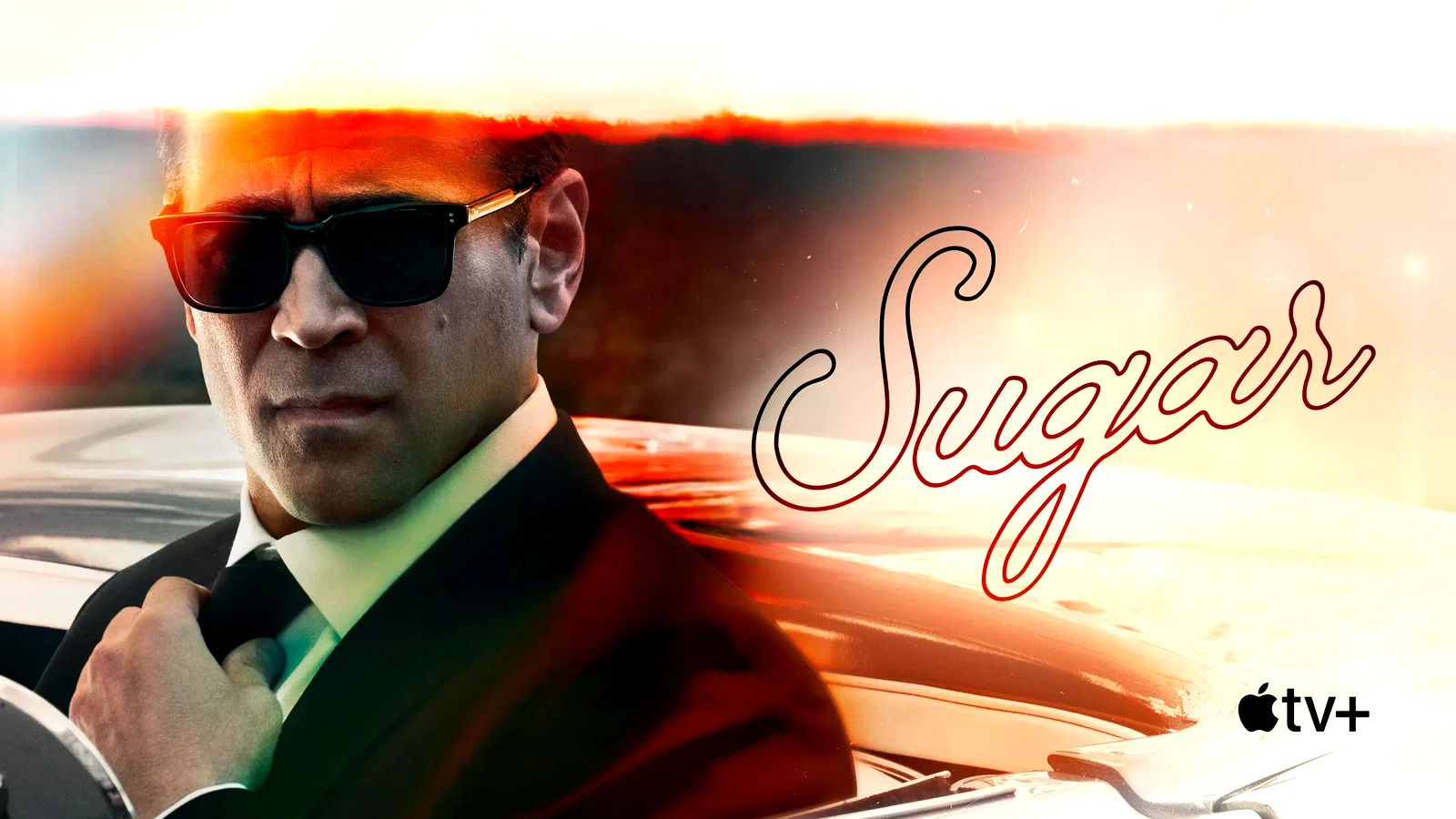 Photo 5 de la série : Sugar