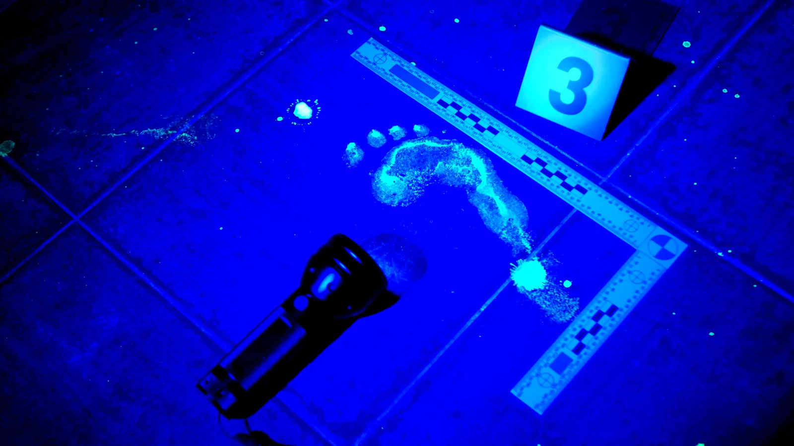 Photo 11 de la série : Détectives médicaux