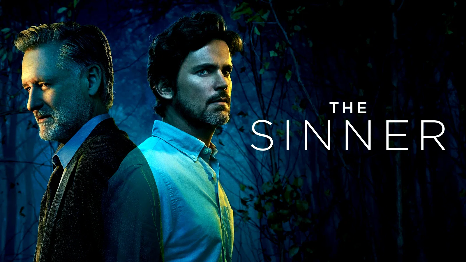 Affiche de la série : The Sinner