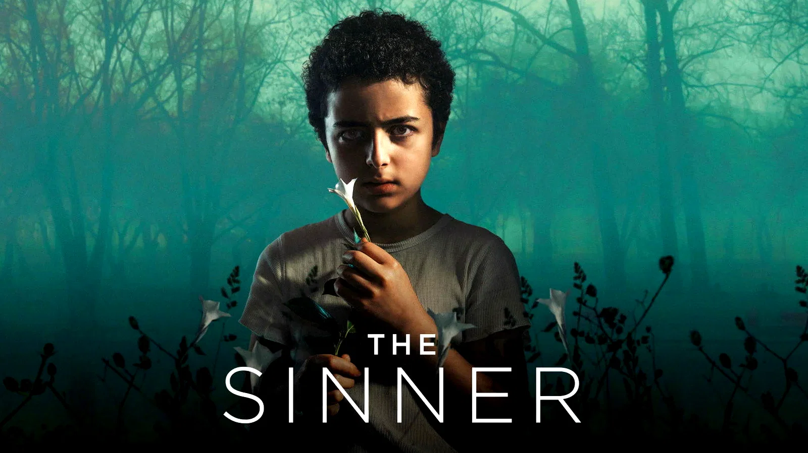 Photo 2 de la série : The Sinner