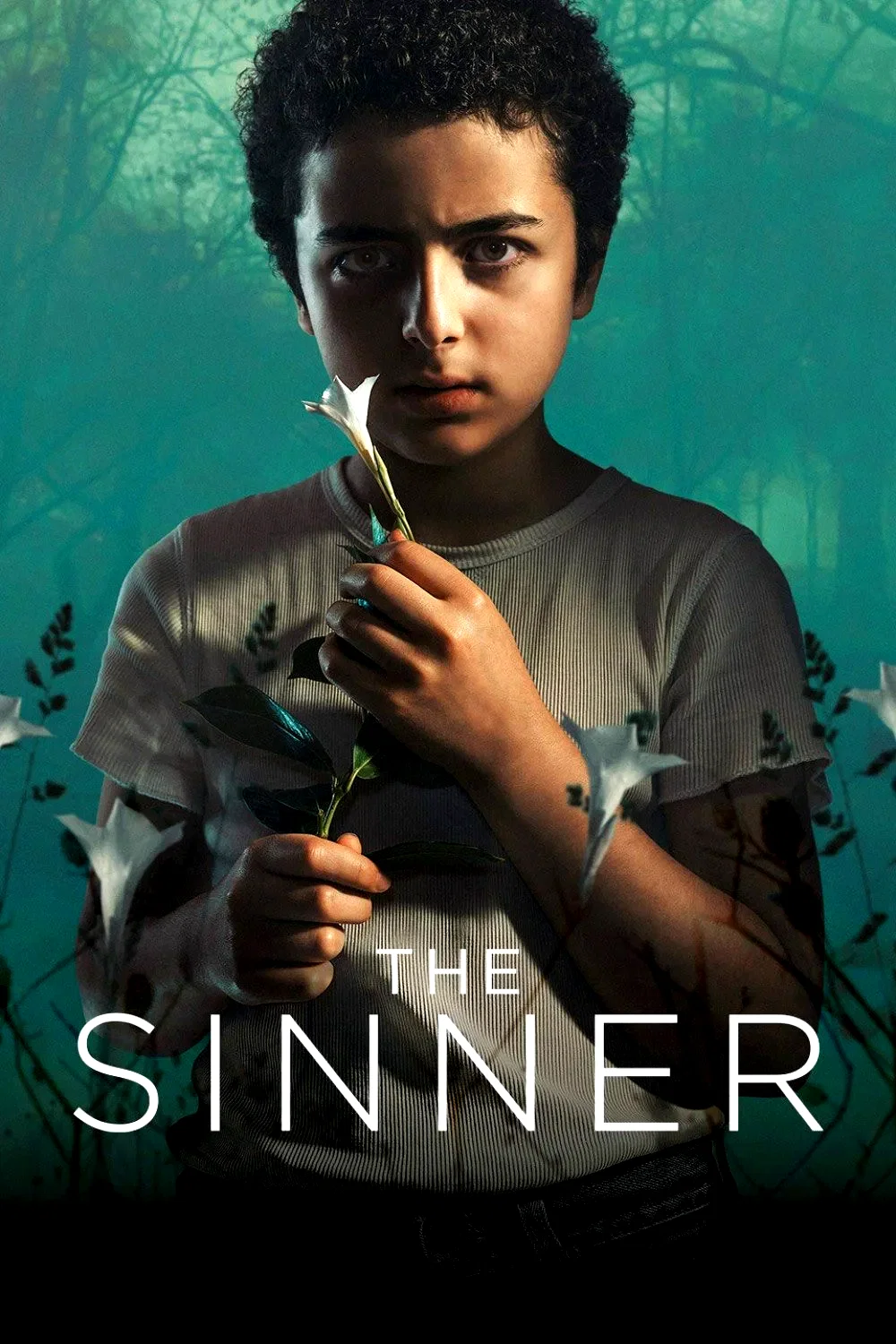 Photo 11 de la série : The Sinner