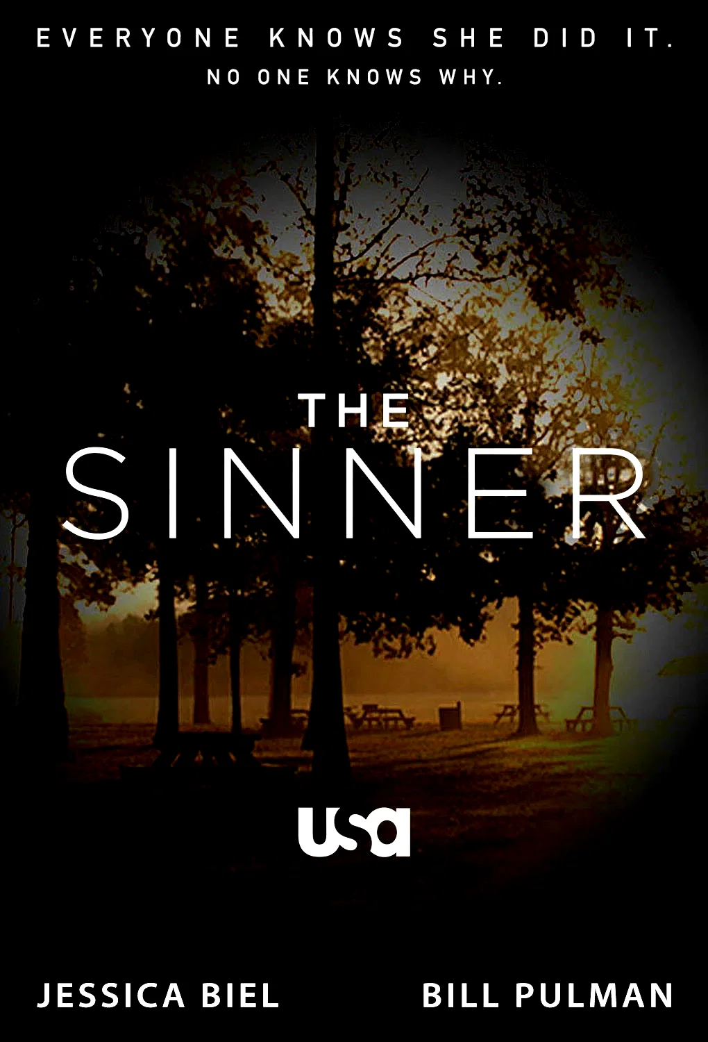 Photo 12 de la série : The Sinner