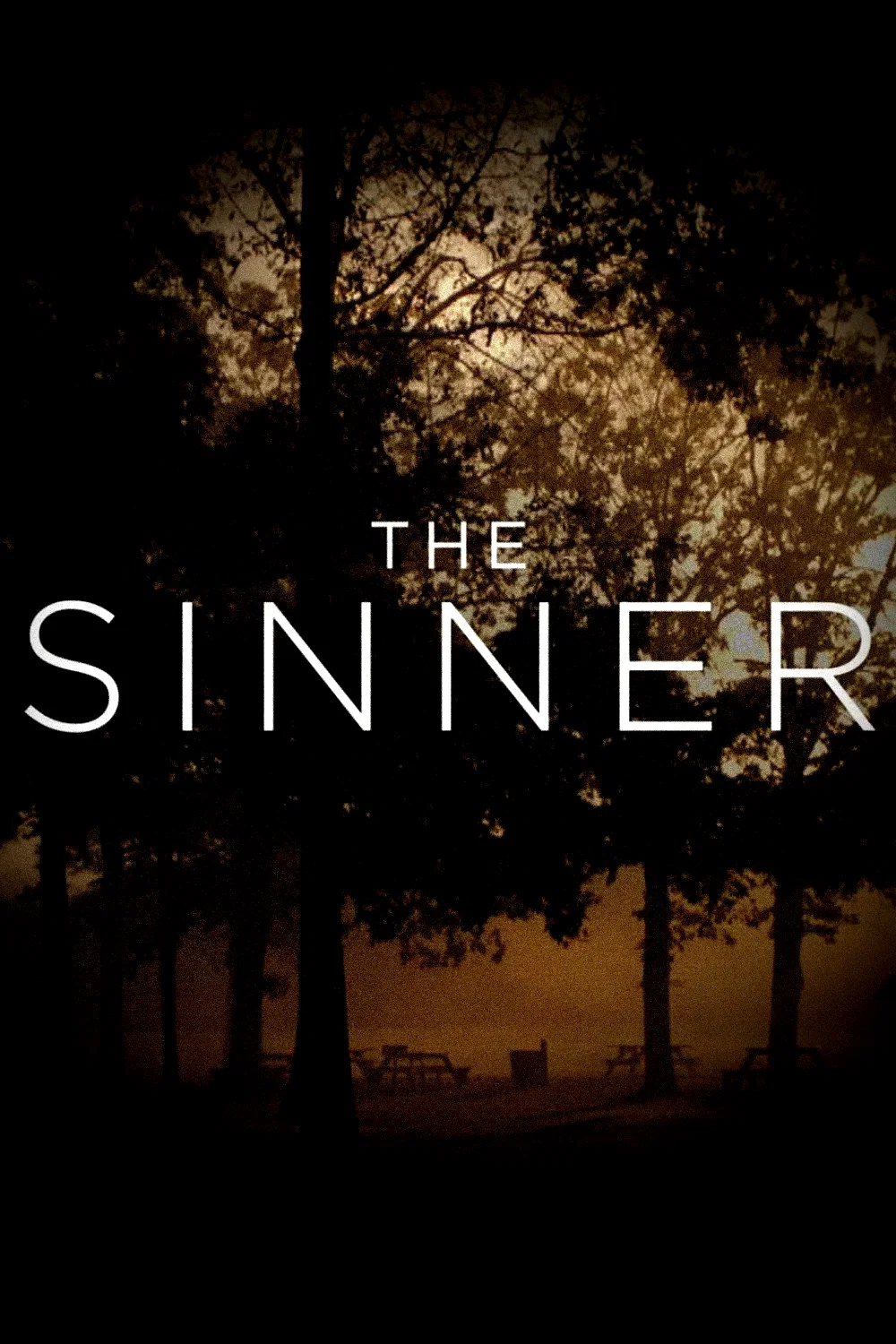Photo 13 de la série : The Sinner