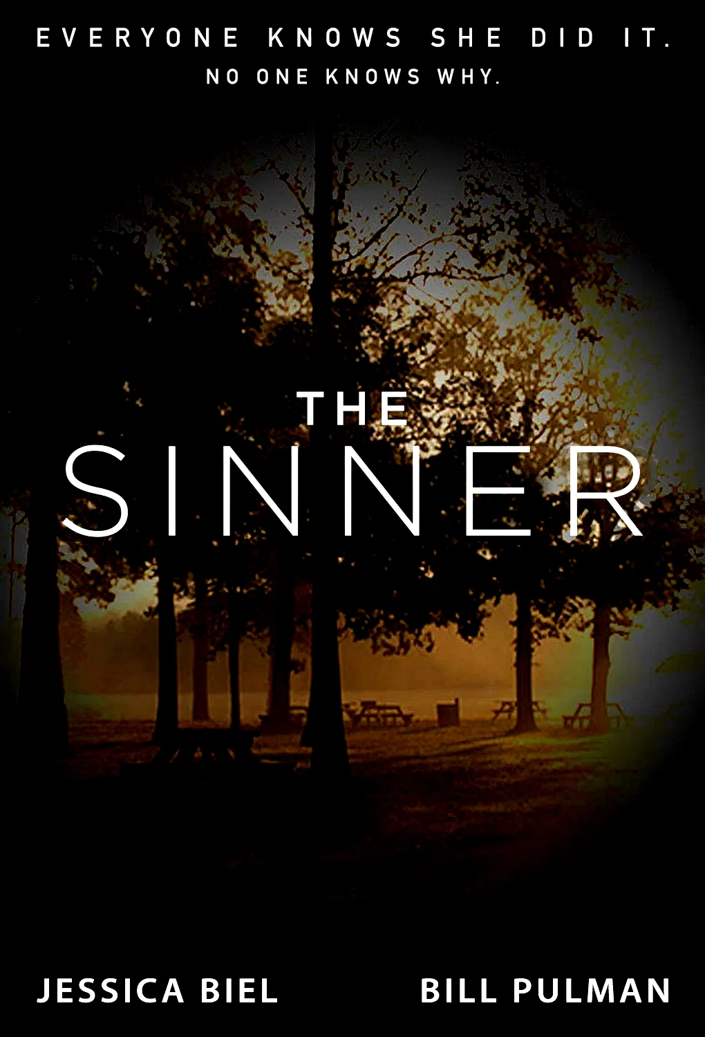 Photo 14 de la série : The Sinner