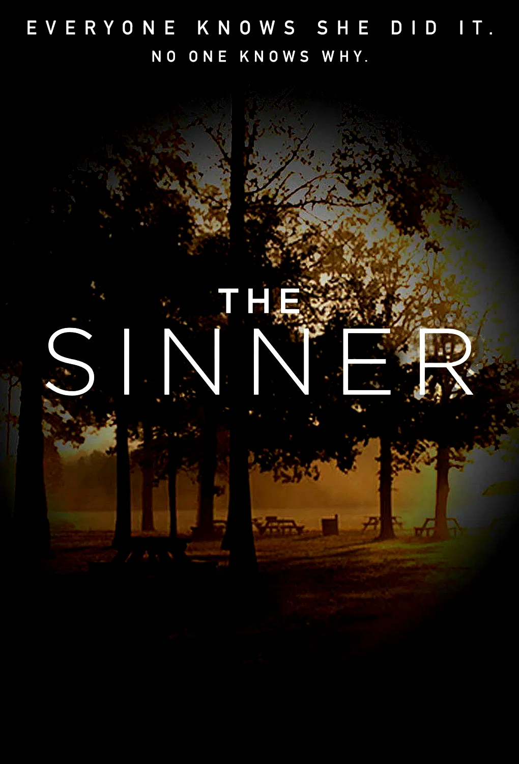 Photo 15 de la série : The Sinner