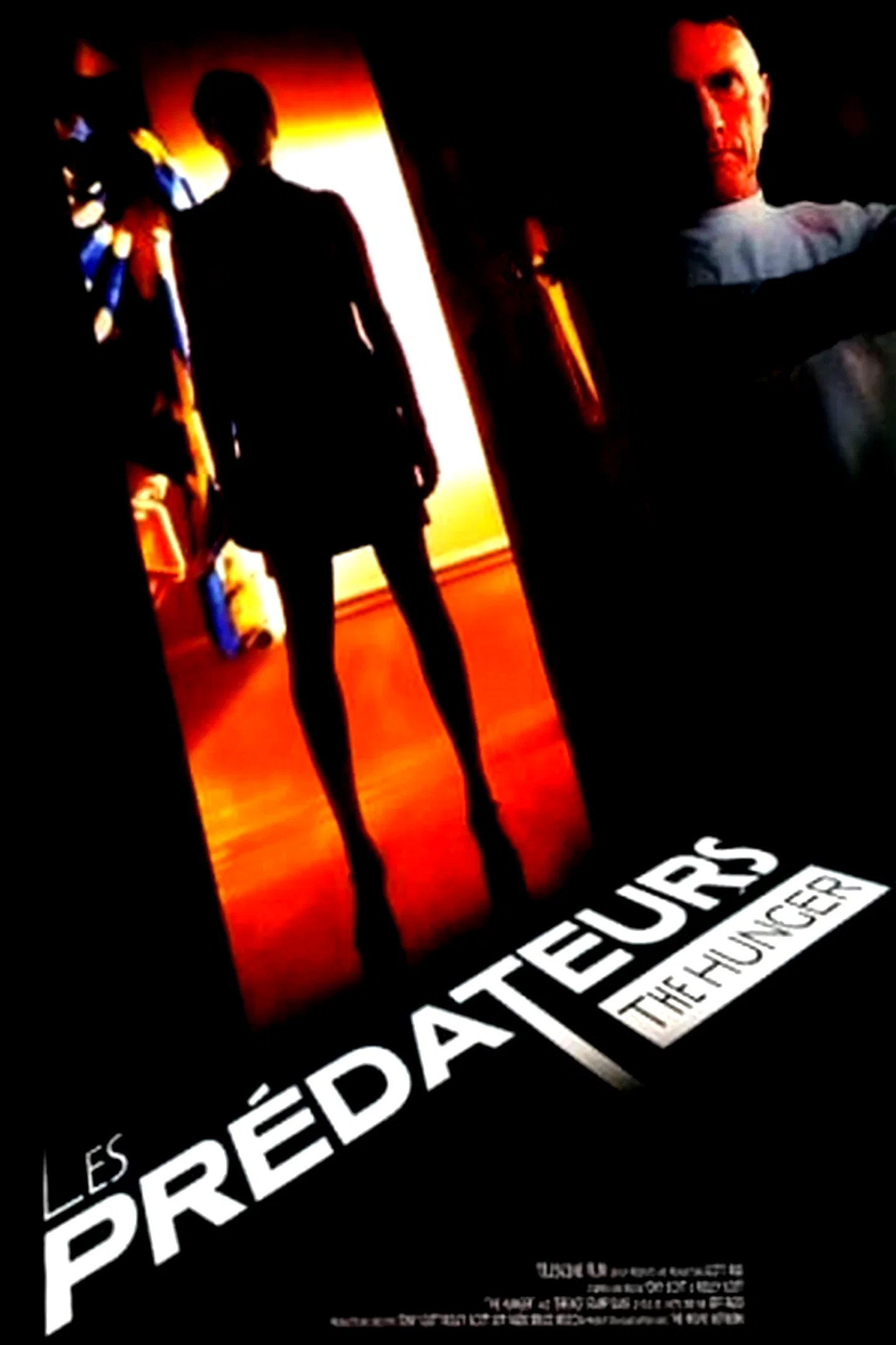 Photo 3 de la série : Les Prédateurs