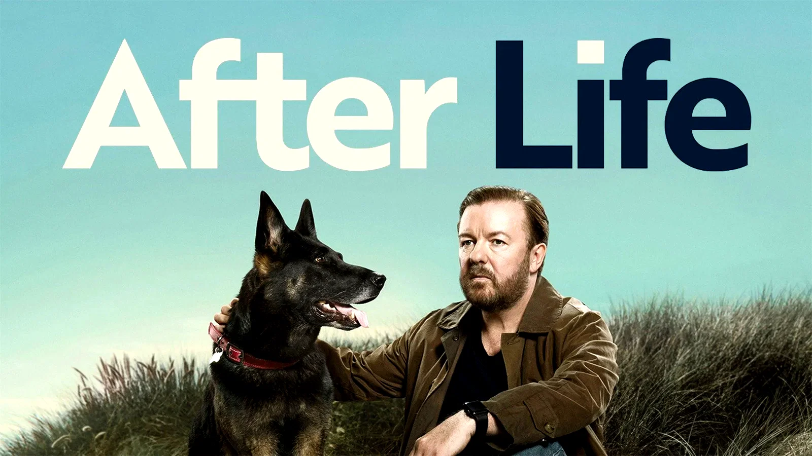 Photo 2 de la série : After Life