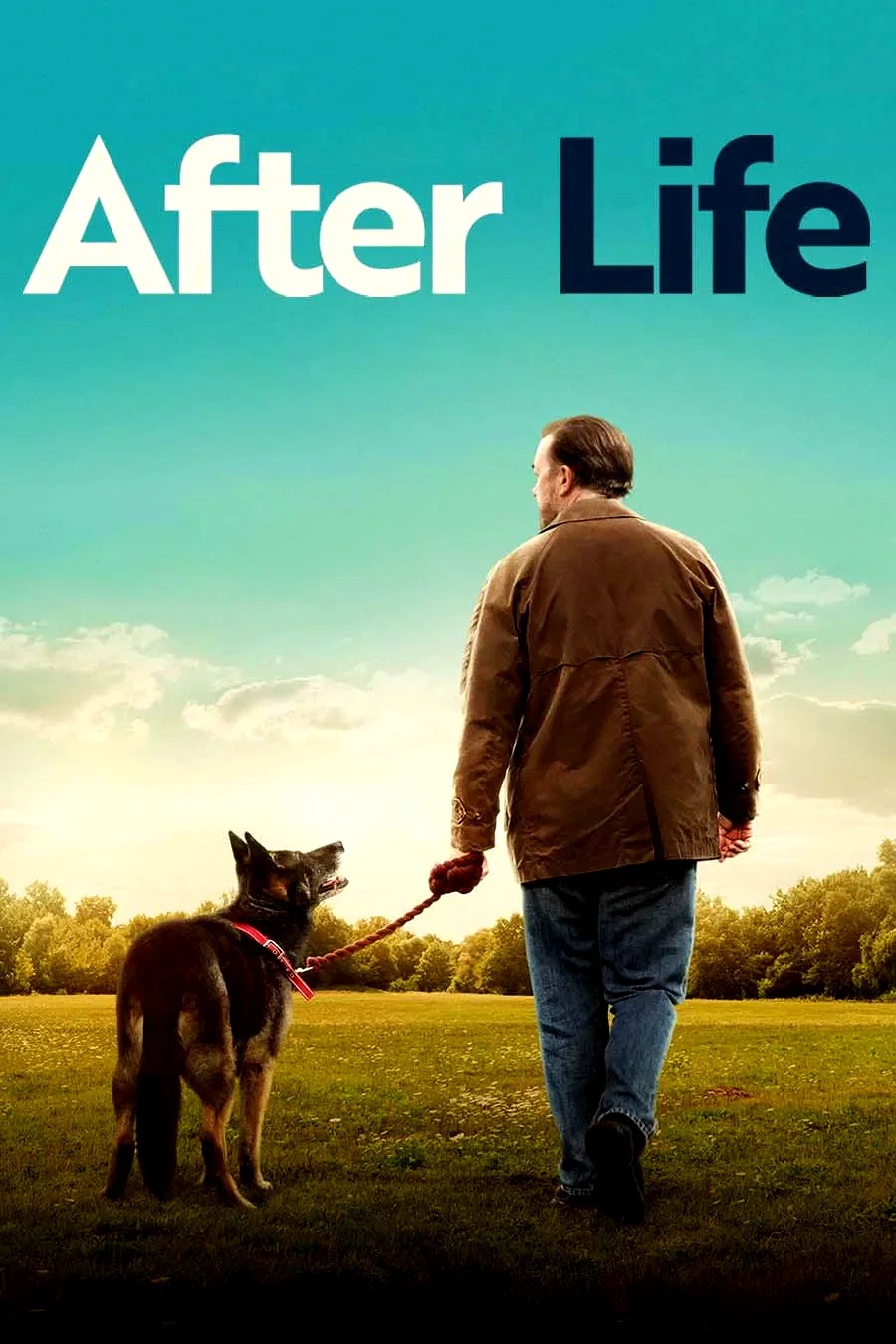 Photo 5 de la série : After Life