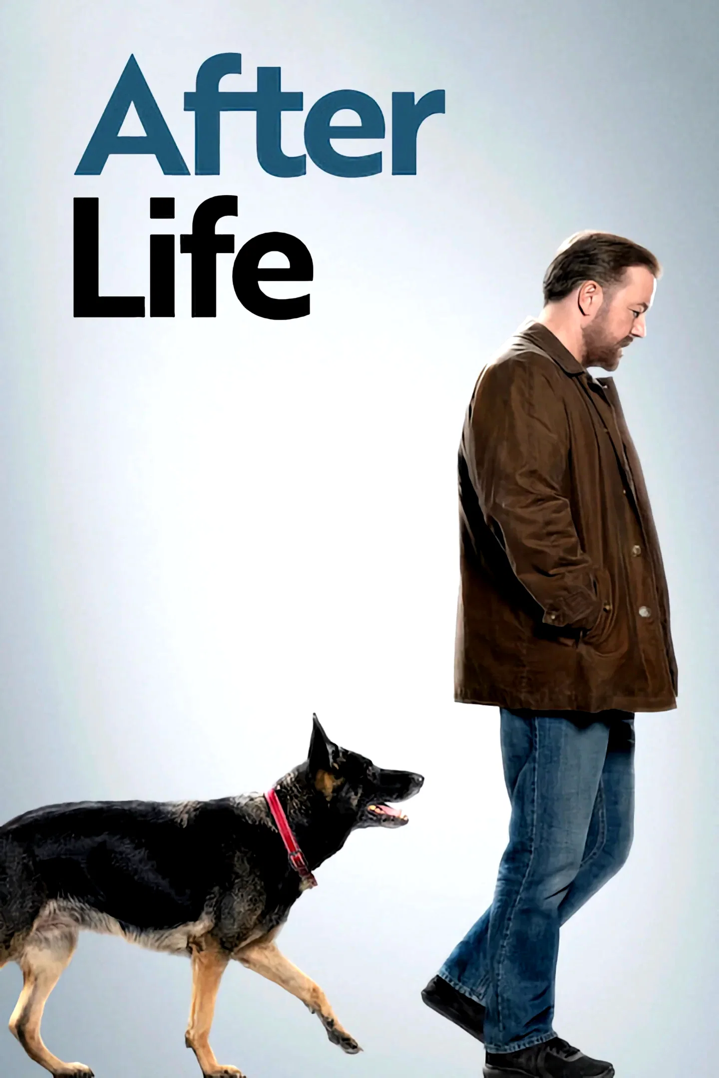 Photo 8 de la série : After Life