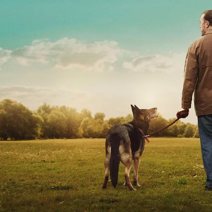 Photo de la série : After Life