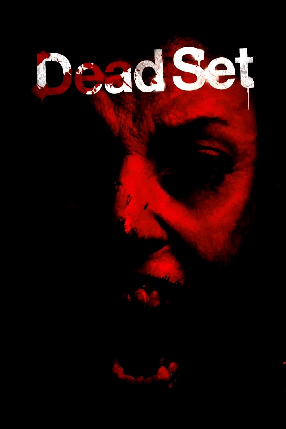 Photo 6 de la série : Dead Set