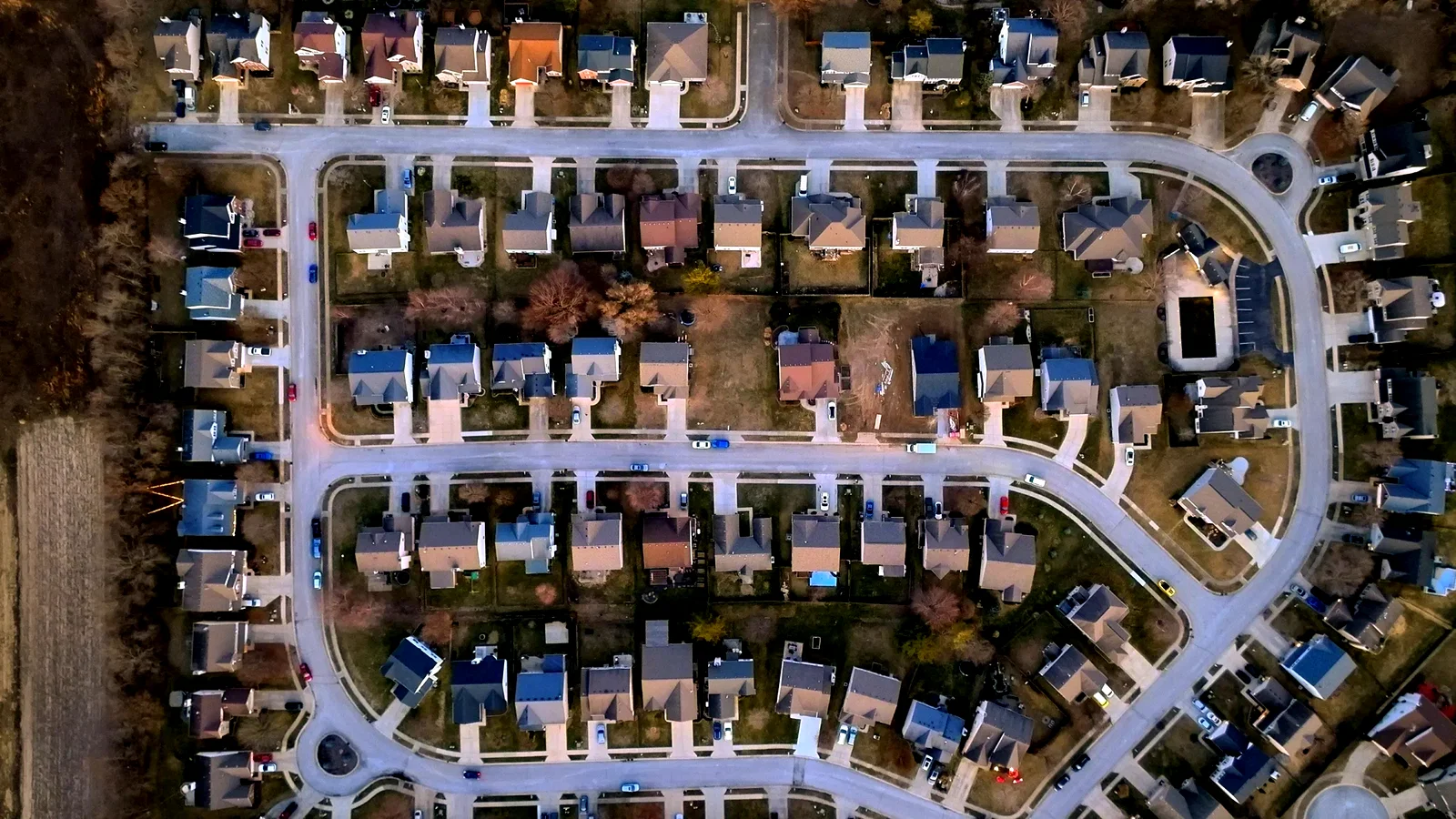 Photo 3 de la série : Worst Neighbor Ever