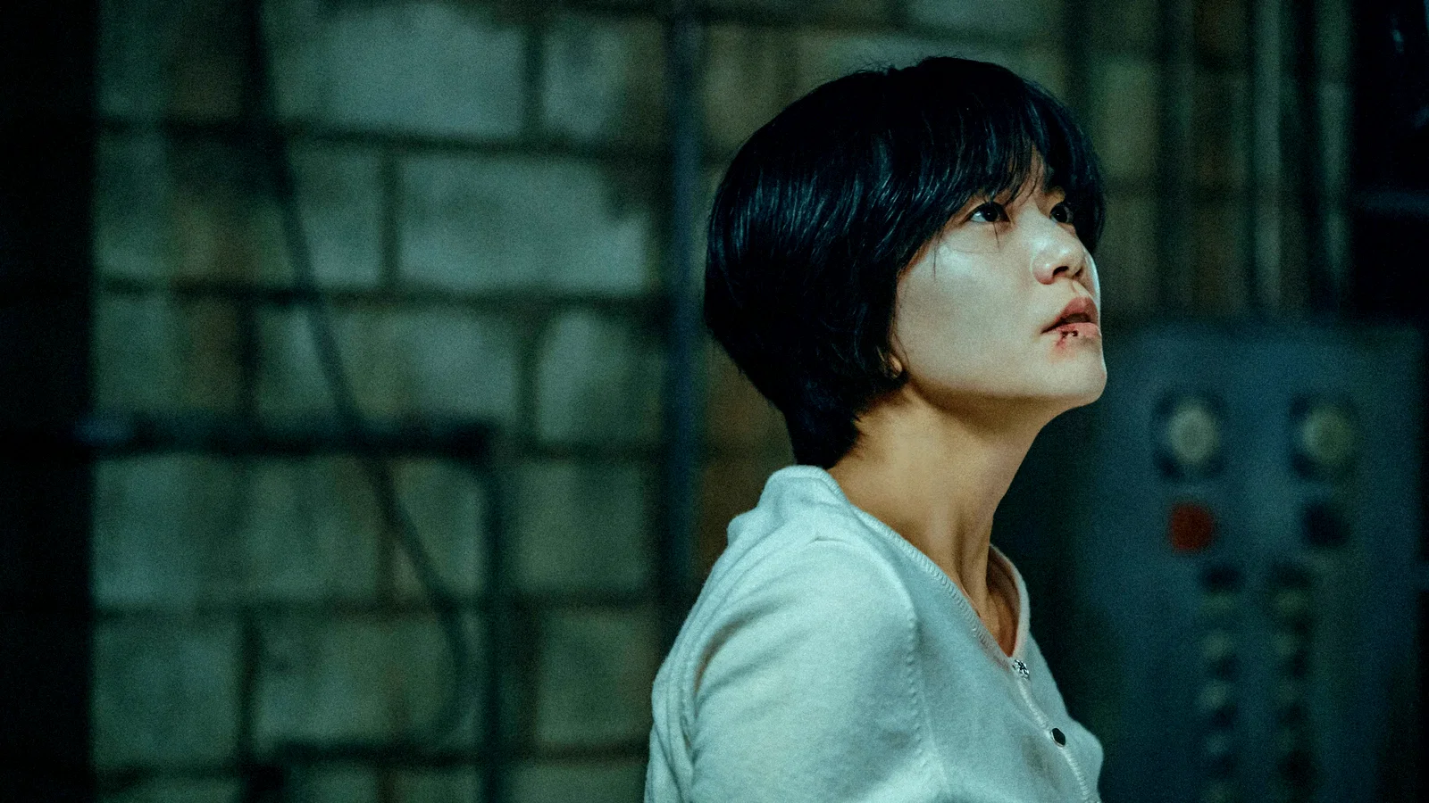 Photo 8 de la série : The Husband
