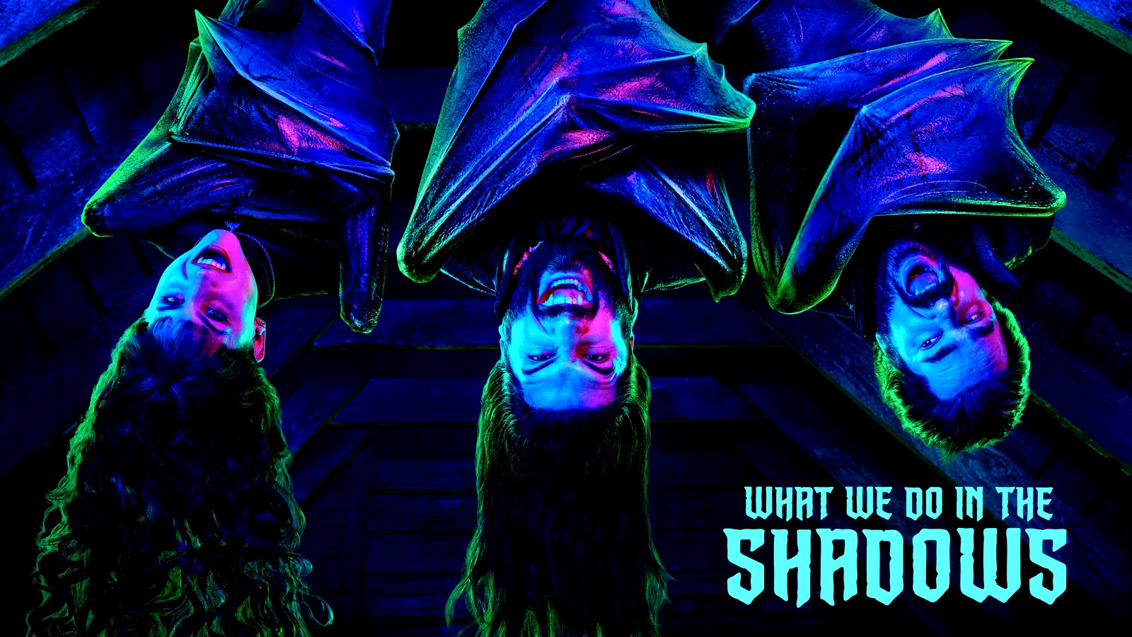 Photo 21 de la série : What We Do in the Shadows