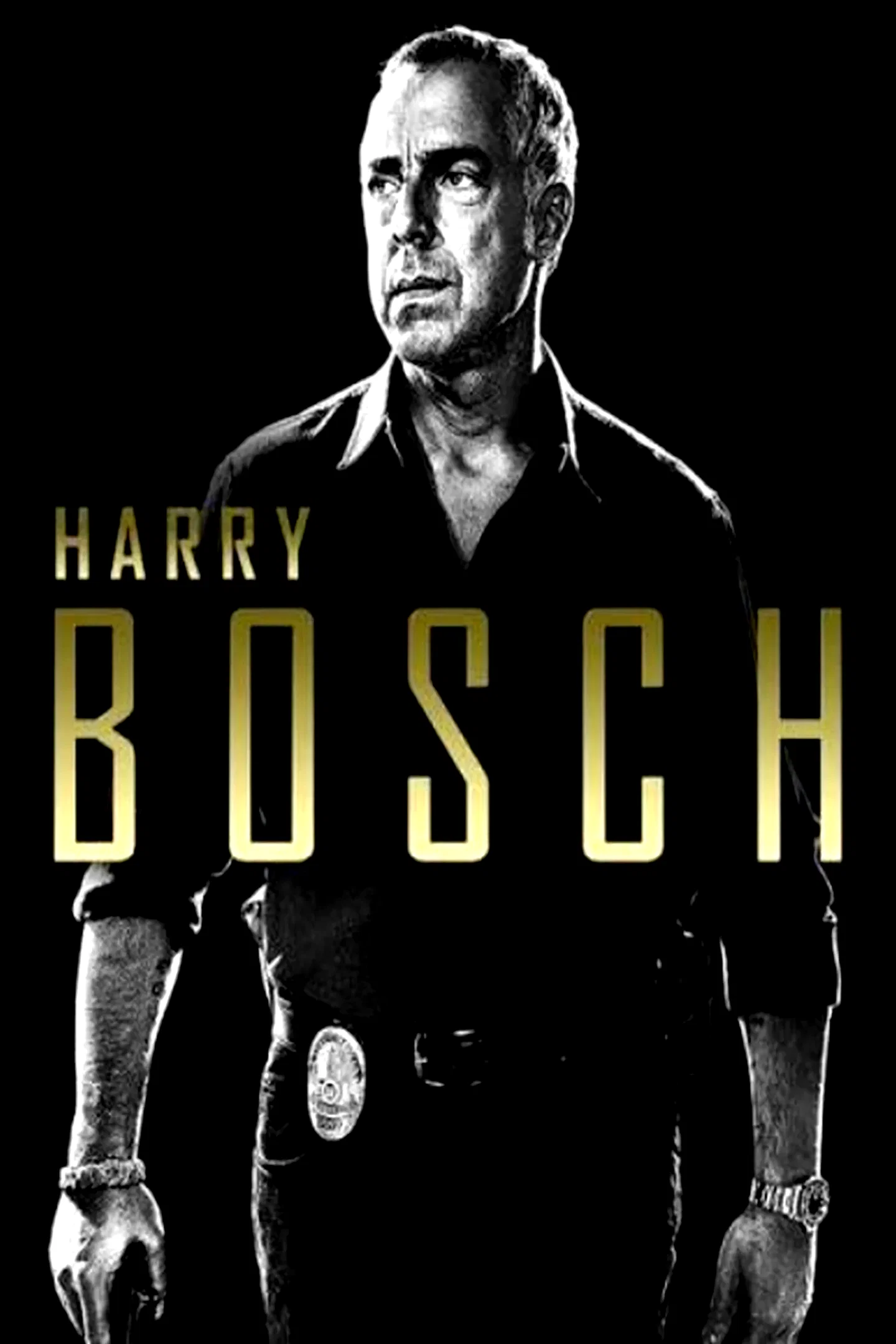 Photo 3 de la série : Bosch