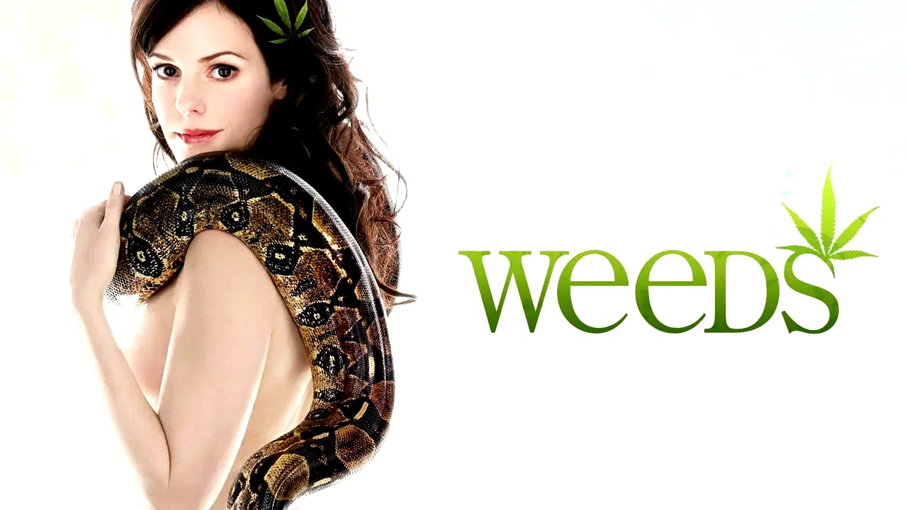 Photo 5 de la série : Weeds
