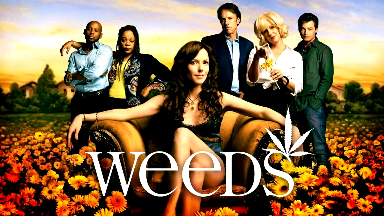 Photo 7 de la série : Weeds