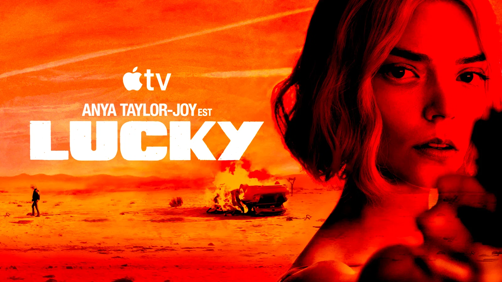Affiche de la série : Lucky