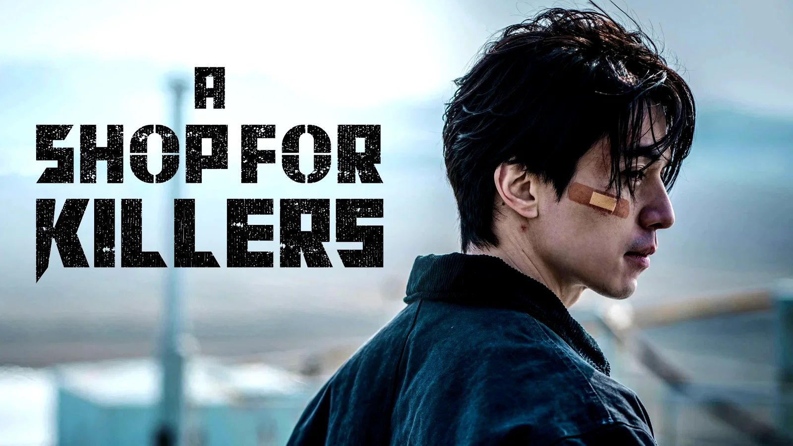 Affiche de la série : A Shop for Killers