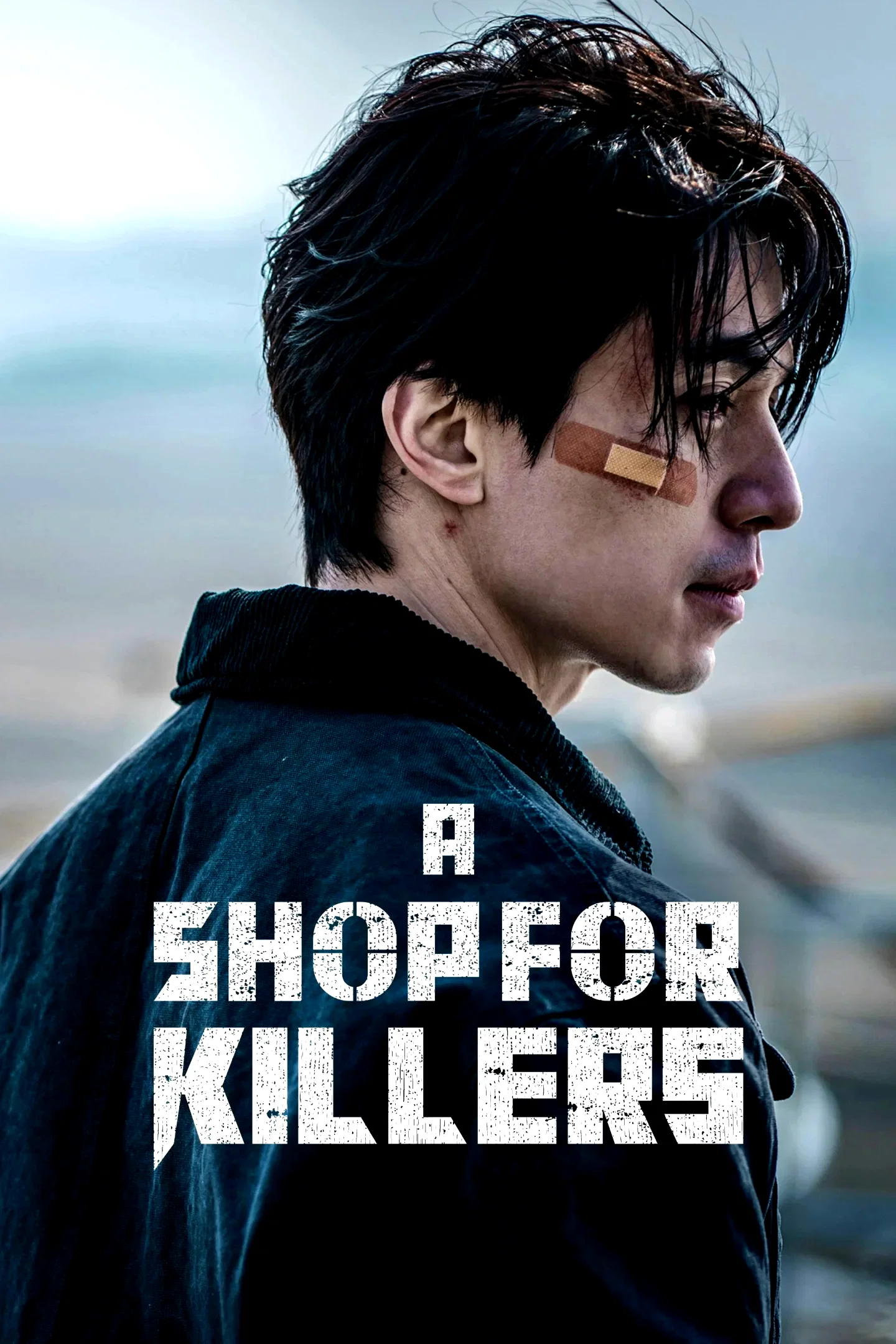 Photo 15 de la série : A Shop for Killers