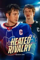 Affiche de Saison 1
