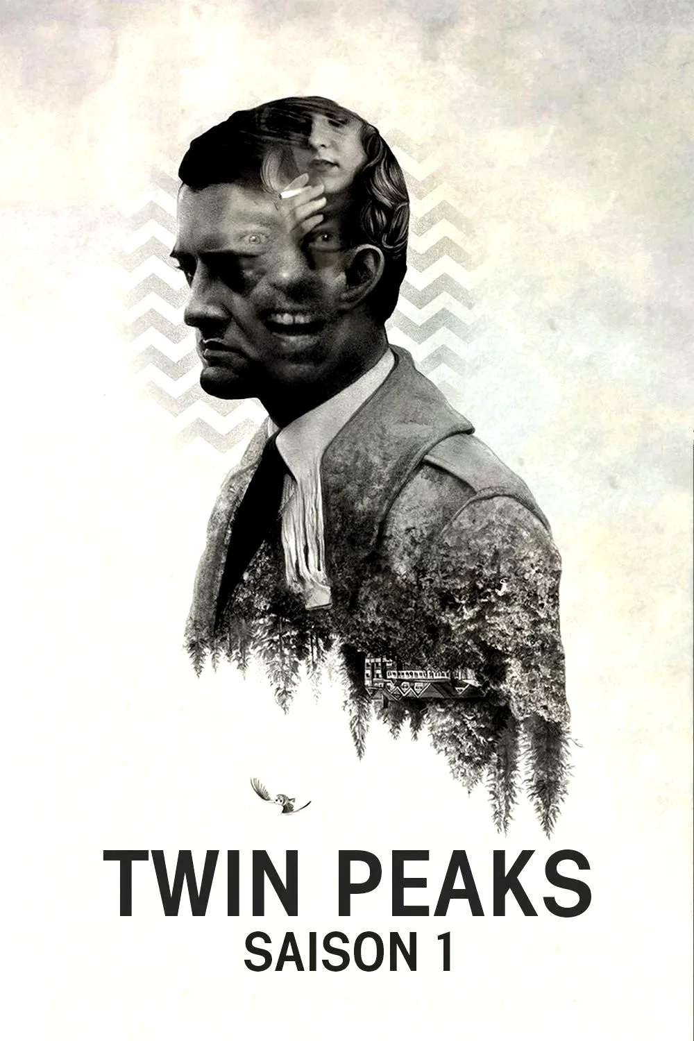 Photo de la saison 1 : Twin Peaks