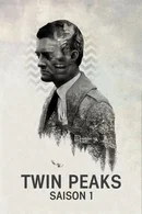 Affiche de Saison 1