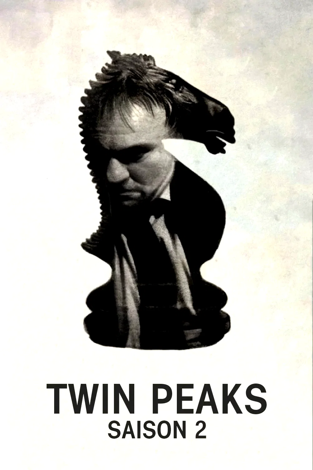 Photo de la saison 2 : Twin Peaks