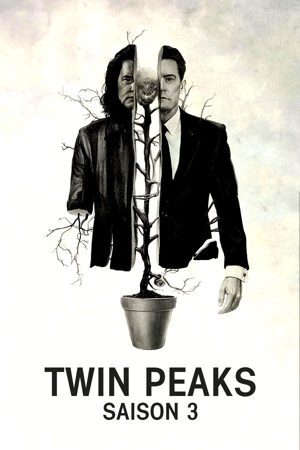 Photo de la saison 3 : Twin Peaks