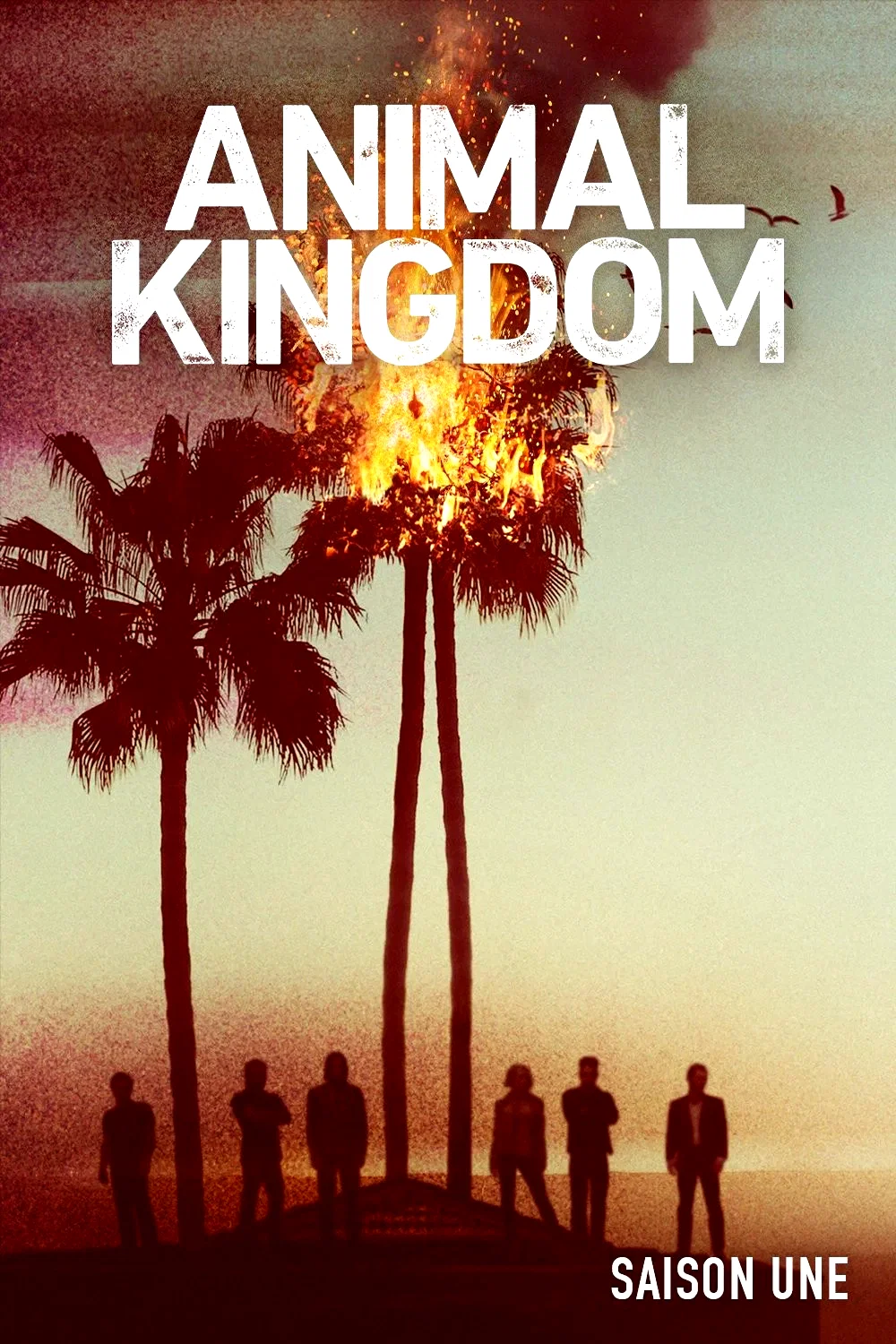 Photo de la saison 1 : Animal Kingdom