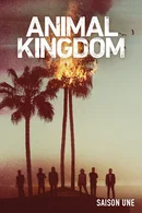 Affiche de Saison 1