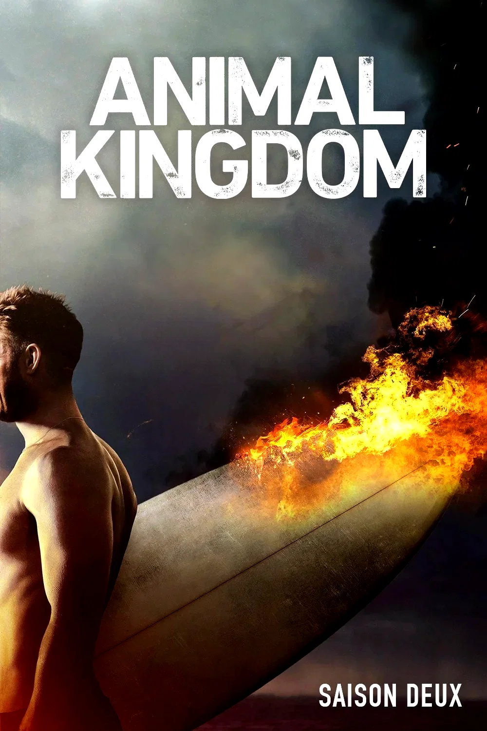 Photo de la saison 2 : Animal Kingdom
