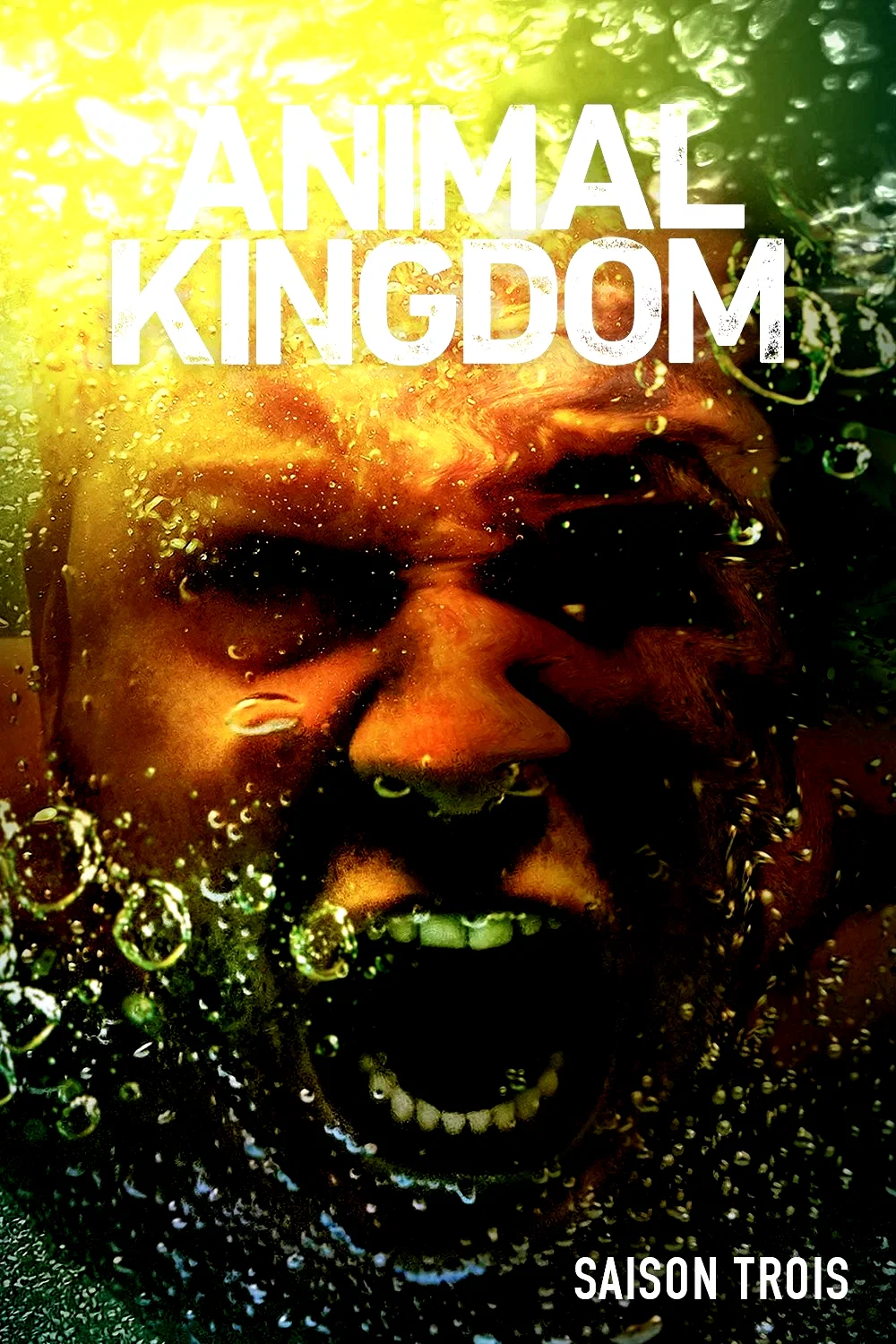 Photo de la saison 3 : Animal Kingdom