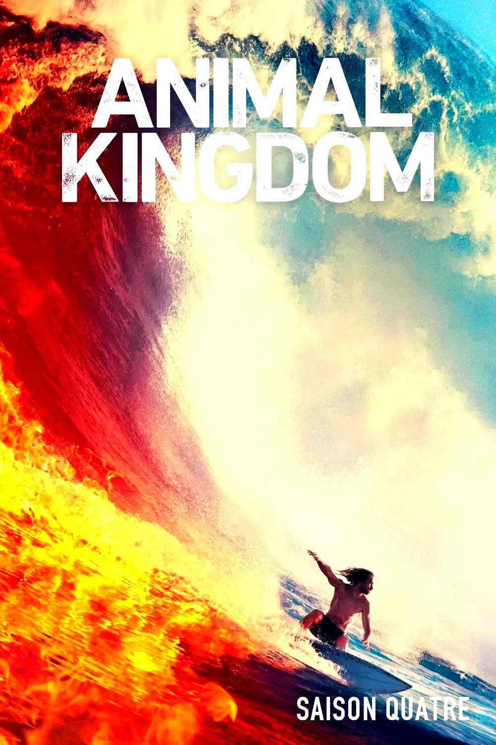 Photo de la saison 4 : Animal Kingdom