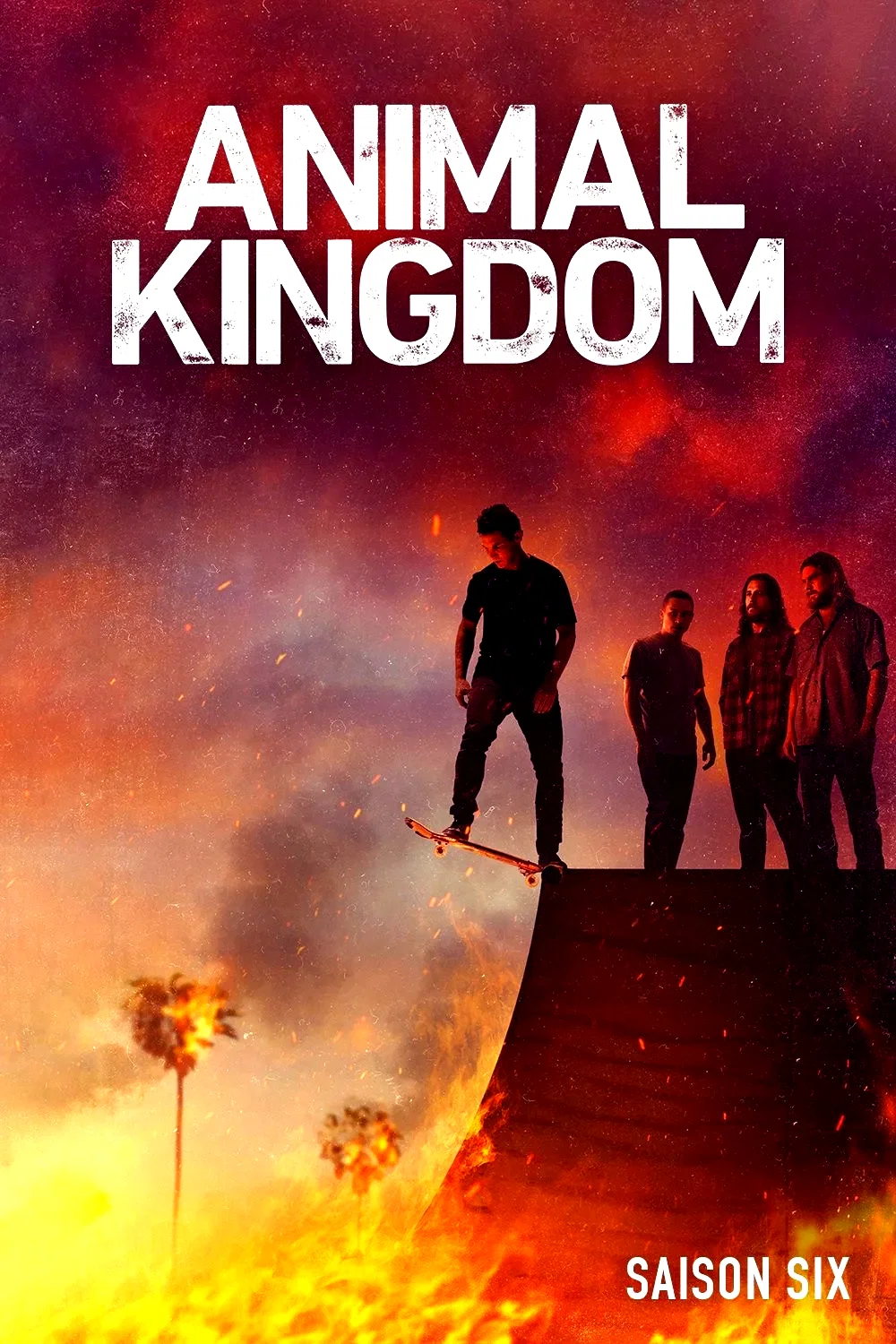 Photo de la saison 6 : Animal Kingdom