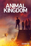 Affiche de Saison 6