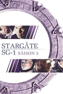 Affiche de Saison 5