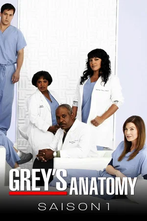 Photo de la saison 1 : Grey's Anatomy
