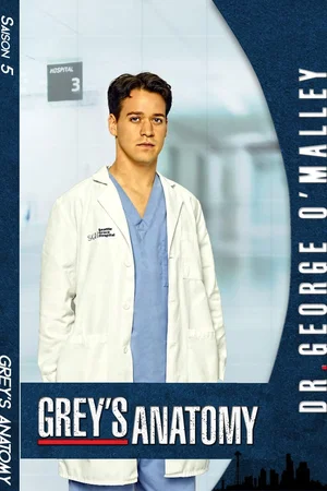 Photo de la saison 5 : Grey's Anatomy