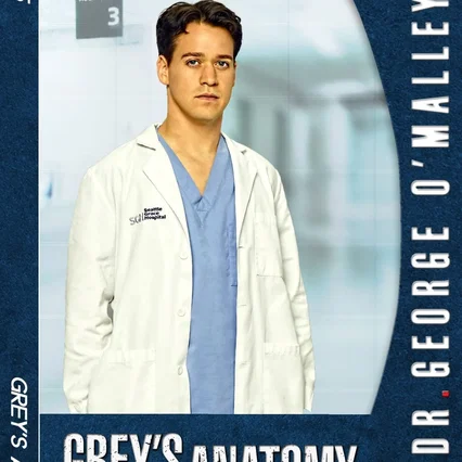 Photo de la saison 5 : Grey's Anatomy